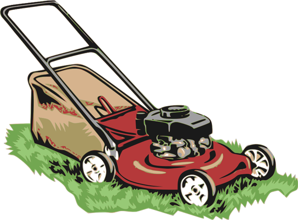 Garden Maintenance South Brisbane Snelson Services Expert Lawn And Garden Care